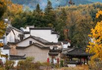 越过山丘与湖塘，下榻小城贝壳酒店