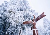 喂，在吗？这份明月山赏雪攻略，请查收~