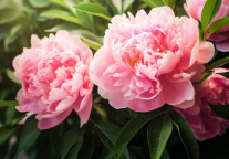 格林豪泰酒店，寻找爱上菏泽的理由