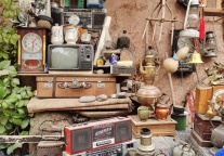 颐和园串起九大景区推出“少年科普路”