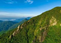 七夕，你想来明月山景区领结婚证吗？