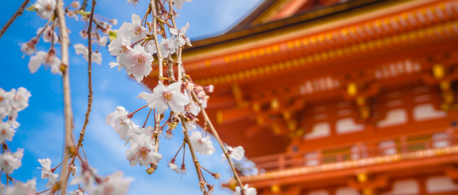 日本旅游业消费额达4.805万亿日元 创历史新高