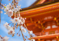 日本旅游业消费额达4.805万亿日元 创历史新高