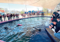 3天近60万人次！秦皇岛多彩文旅活动助推经济活力持续释放