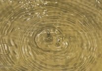 海关总署：全面暂停进口日本水产品