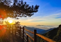 11.1元拆盲盒领惊喜大奖！明月山景区维景温泉双十一狂撒福利！