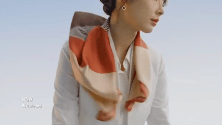 动物（丝巾）.GIF