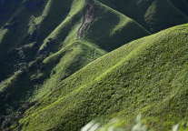 绿色武功山告急！再不来就要等明年了！