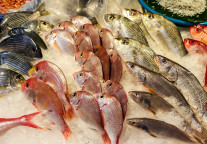 多地餐饮行业协会倡议：抵制、停用日本海鲜产品