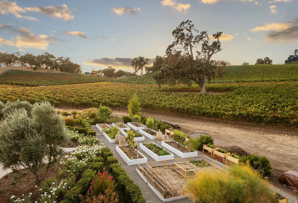 唯一入选福布斯旅游指南的酒庄餐厅