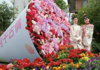 明月千古情花痴节启幕，共赴春日之约！