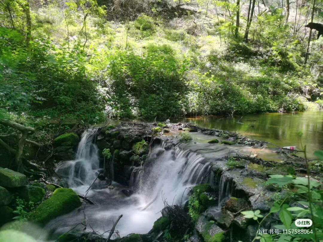 跟着博主打卡龟峰景区(二)