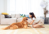 宠物友好酒店，会是下一个风口吗？