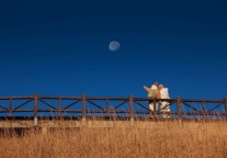 免费！来武功山不知道这些，等于白来！