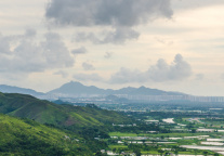 7月13日罗湖口岸与福田口岸客流破纪录