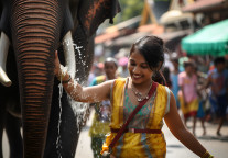 去哪儿:泼水节期间西双版纳机票预订同比增2倍