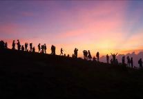 今日凌晨1点，武功山景区这群人有点疯狂