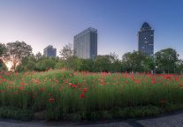 万科上半年销售近700亿！近年盘活资源新增销售超200亿