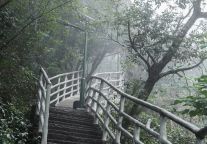 三清山风景区正月初五（2月2日）起解除限流管控的公告