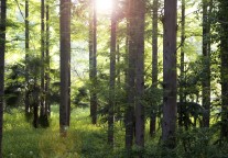 丽水市地心世界项目将于今年5月对外营业