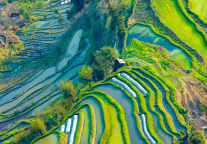 云南省启动百个旅居项目试点 擦亮“旅居云南”品牌