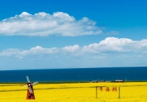 招商公告｜浪漫青海湖·目的地婚礼活动招商