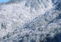 山上滑雪、山下泡泉！让明月山承包你的冬天！
