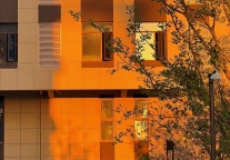 人口将破千万，国企迈上合肥住房租赁市场头把交椅