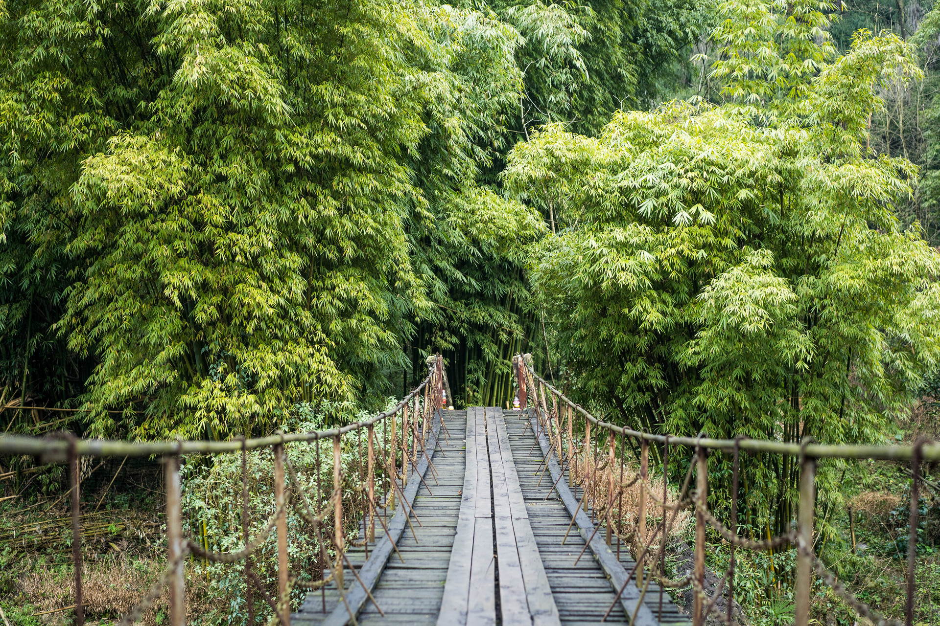7月以来峨眉山预订热度同比涨幅达160%