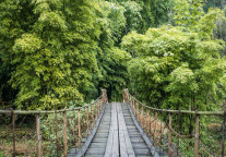 7月以来峨眉山预订热度同比涨幅达160%