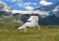 2024最佳东方（本科旅游管理类）专业人才培养竞争力排名正式发布