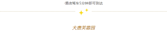 1709803056441.jpg