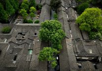 全民读书月| 书香满城·惠民悦读活动开启！共赴春日诗书浪漫之约…