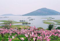 苏州湾太湖洲际度假酒店签约奠基