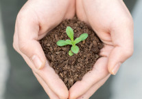 慕思“梦想100分”公益逐梦计划全新升级