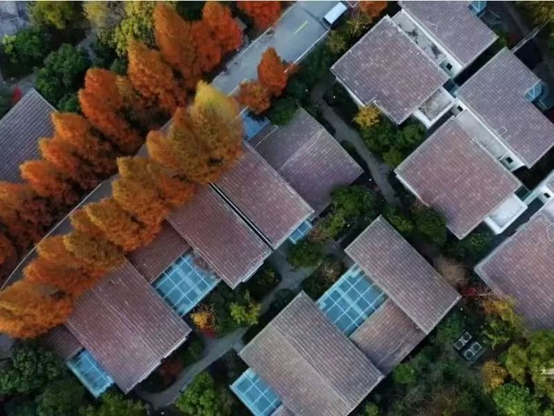 一封来自宾客的表扬信｜用心服务，做有温度的酒店