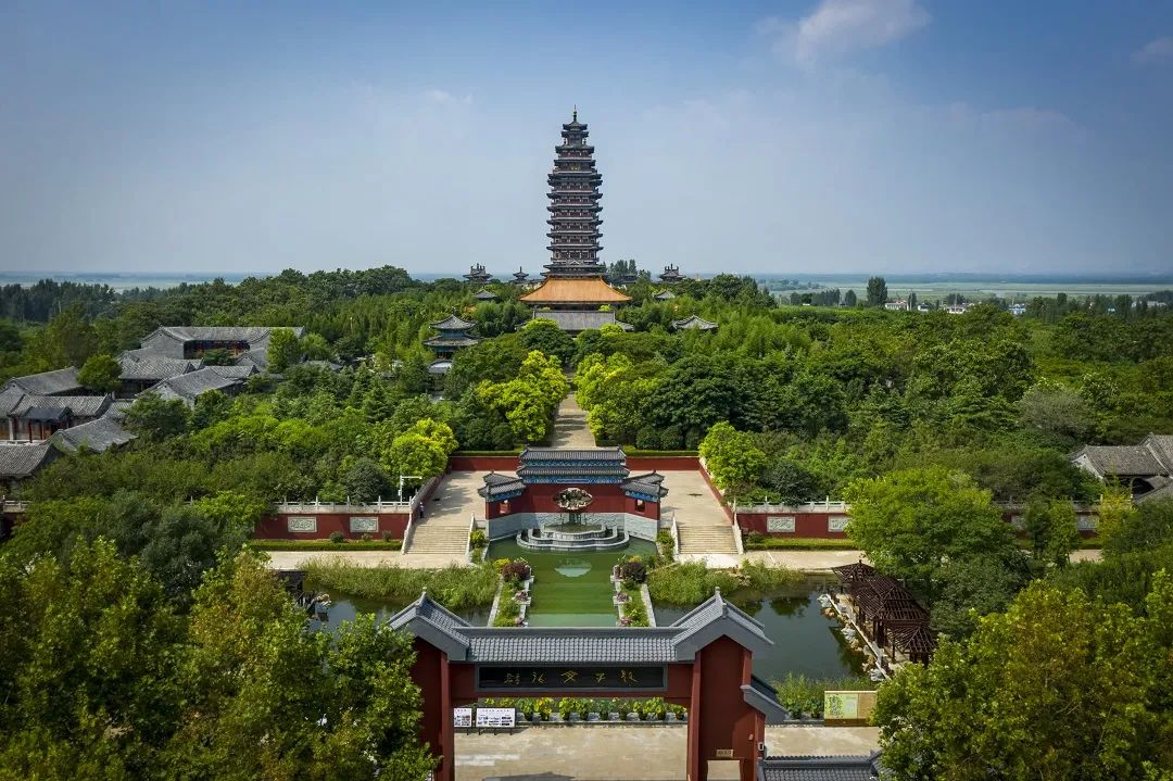微山湖旅游区 | 微山湖古运河罕见发现“水中大熊猫”—桃花水母