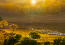 首款冰雪主题文旅元宇宙产品发布，打造冰雪元宇宙世界