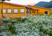 裸心首次进入西北地区，禾木阿勒泰·裸心隐乡启幕