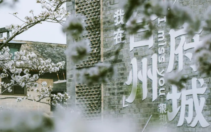 微信截图_20240327174431.png