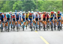 广旅 · 巴马君澜 | 2024年环广西公路自行车国际巡回赛接待圆满成功