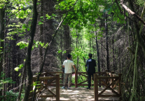 长白山万达国际度假区2024年夏季避暑交通指南