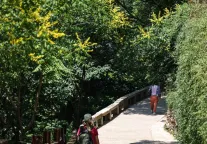 留给你们的时间不多了！还不抓紧时间去云丘山景水灵灵地玩啊！