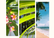 雅阁酒店集团|三亚亚龙湾雅阁温泉度假酒店@你，拍短视频赢大奖