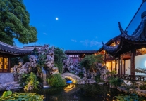 入住率翻倍，近800家满房！这个清明旅悦高星成绩亮眼