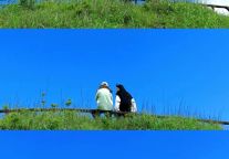 速来！毕业旅行就从武功山景区开始吧～