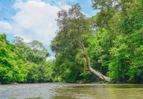 文莱对中国公民14天免签将于3月8日实施