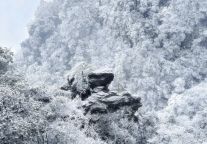 冬季氛围感这事，武功山雾凇有话说！