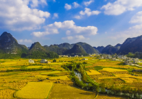 县城高星酒店，一房难求