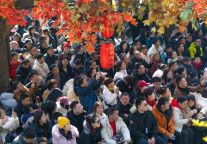 最新动态！春节，宜昌这里人好多！